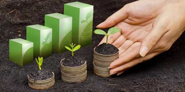 The Rise Of ESG Investing In Stock Markets